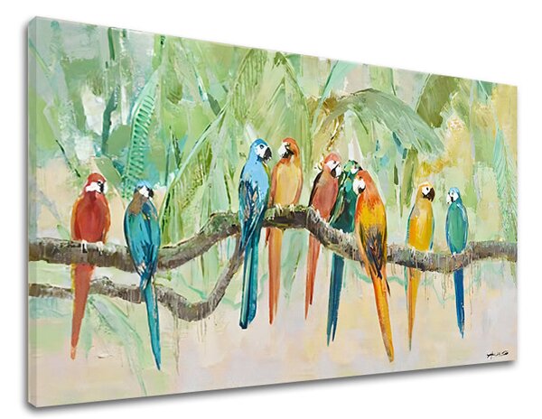 Obraz na plátne PAPAGÁJE - 100x50 cm