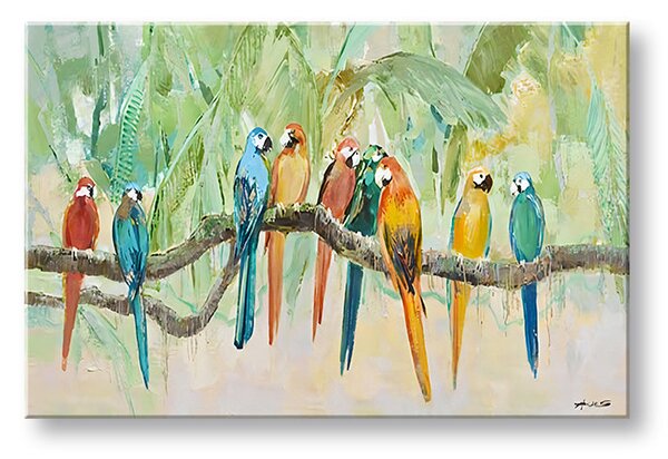 Obraz na plátne PAPAGÁJE - 100x50 cm