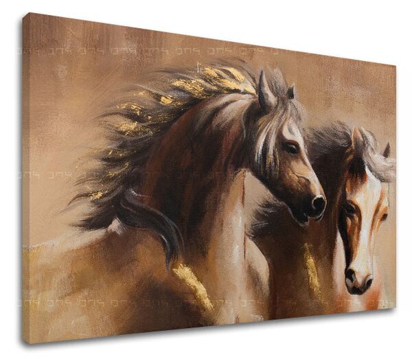 Obraz na plátne KONE - 60x40 cm