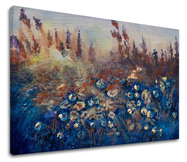 Obraz na plátne LÚKA - 60x40 cm