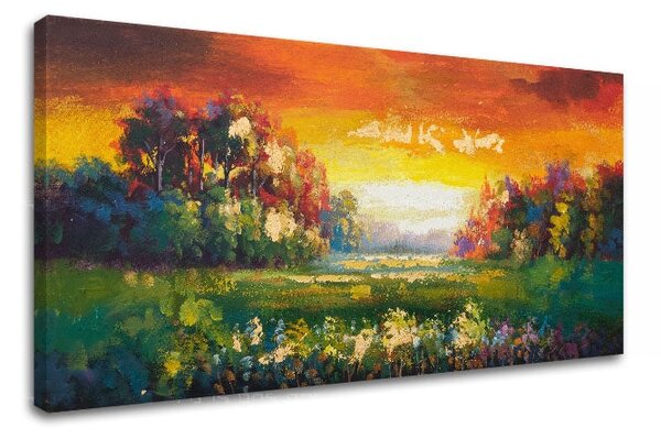 Obraz na plátne LÚKA - 80x40 cm