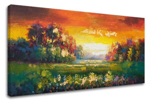 Obraz na plátne LÚKA - 80x40 cm