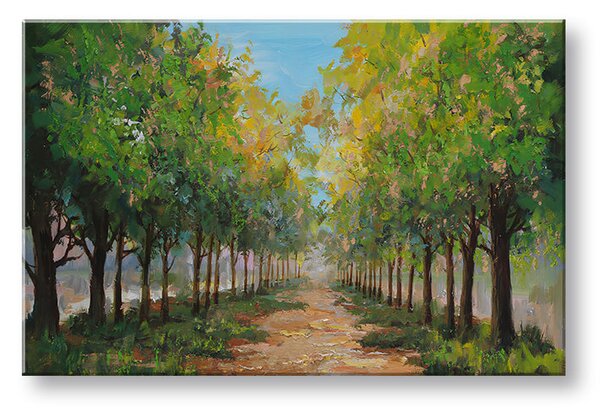 Obraz na plátne STROMY - 80x40 cm