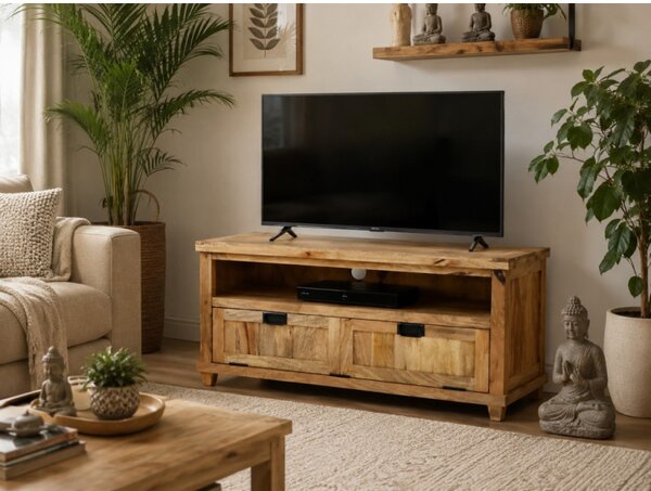 TV stolík Devi 120x60x45 indický masív mango