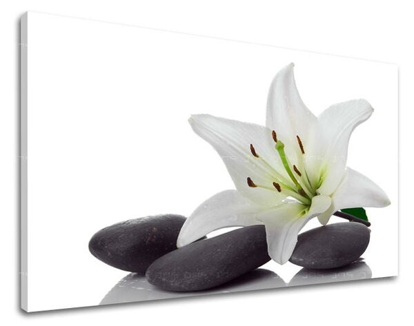 Obraz na stenu FENG SHUI - 20x30 cm