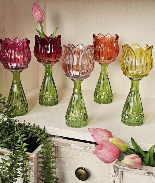 5ks farebný mix sklenený svietnik/ váza tulipán Love Tulip - Ø 7*18 cm - daan kromhout