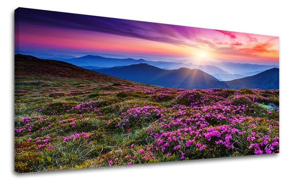Obraz na stenu PANORÁMA KRAJINA - 30x60 cm