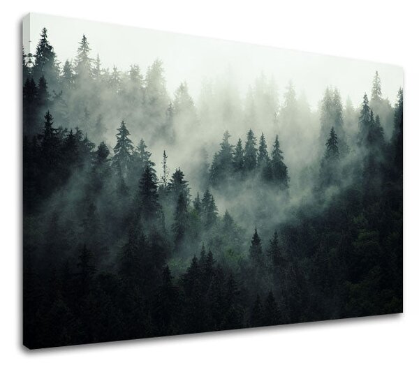 Obraz na stenu HORY_050-11 - 20x30 cm