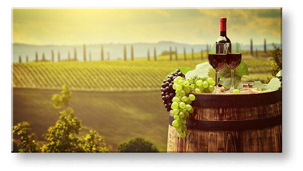 Obraz na stenu VINICE_083-11 - 30x60 cm