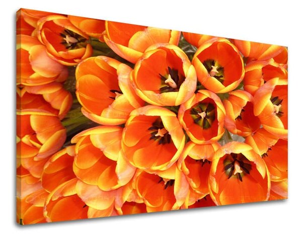Obraz na stenu KVETY - 20x30 cm