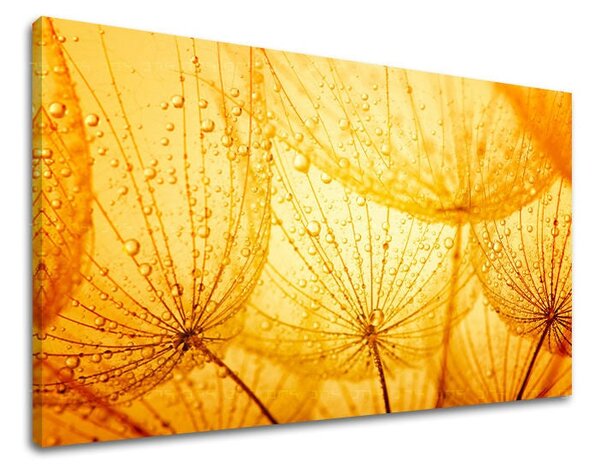 Obraz na stenu KVETY - 20x30 cm
