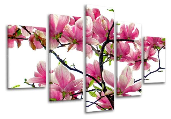 Obraz na stenu KVETY - 100x80