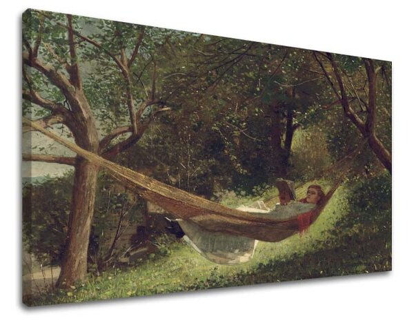 Obraz na plátne Winslow Homer - Dievča v hojdacej sieti - 40x60 cm