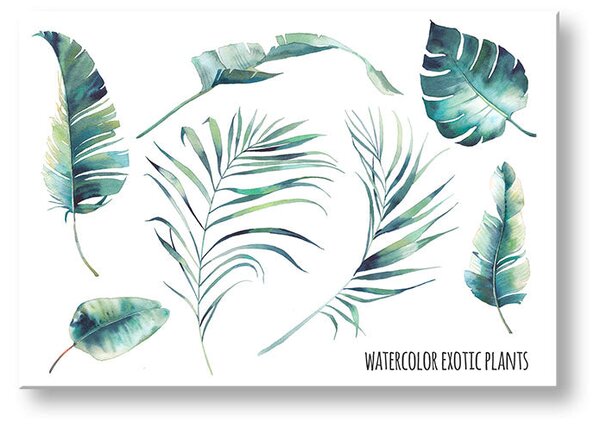 Obraz na stenu s textom Watercolor exotic plants - 40x60 cm