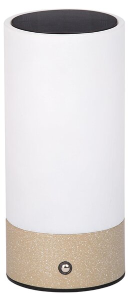 Solárna lampa Dehner Levi, priemer 9 cm, výška 20 cm – vonkajšie LED svietidlo s napájaním zo solárnej energie a batérie, kábel USB-C je súčasťou balenia, teplá biela farba, senzor súmraku, materiál: nerezová oceľ a sklo