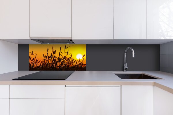 DIMEX | Dibond doska za kuchynskú linku | DBW-08040-128 Západ slnka| 80 x 40 cm