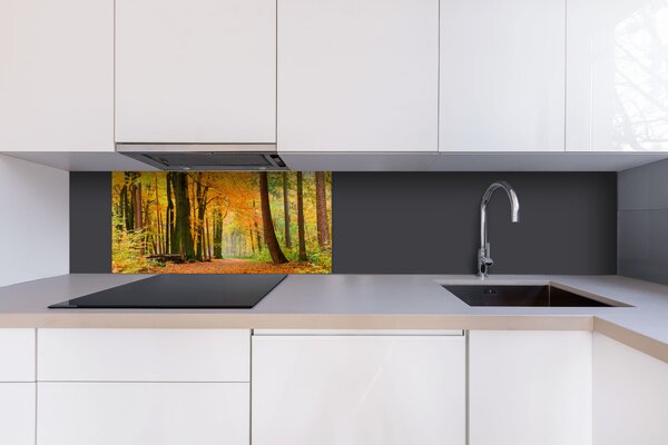 DIMEX | Dibond doska za kuchynskú linku | DBW-08040-045 Jesenný les| 80 x 40 cm