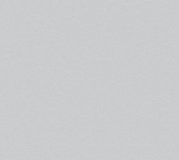 A.S. Création | Vliesová tapeta na stenu Michalsky 4 37986-4 | 0,53 x 10,05 m | šedá