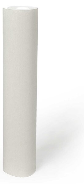 A.S. Création | Vliesová tapeta na stenu Michalsky 4 37986-5 | 0,53 x 10,05 m | biela, krémová