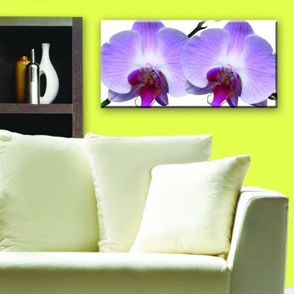 DIMEX | Obraz na skle | Orchidea GL-60-008 | 60 x 30 cm