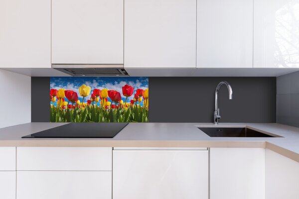 DIMEX | Dibond doska za kuchynskú linku | DBW-08040-131 Pole tulipánov| 80 x 40 cm