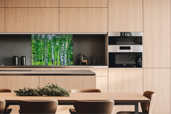 DIMEX | Dibond doska za kuchynskú linku | DBW-08060-044 Brezový háj | 80 x 60 cm