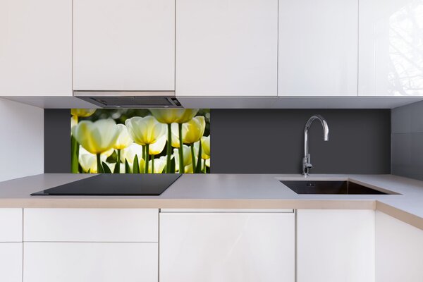 DIMEX | Dibond doska za kuchynskú linku | DBW-08040-009 Biele tulipány| 80 x 40 cm