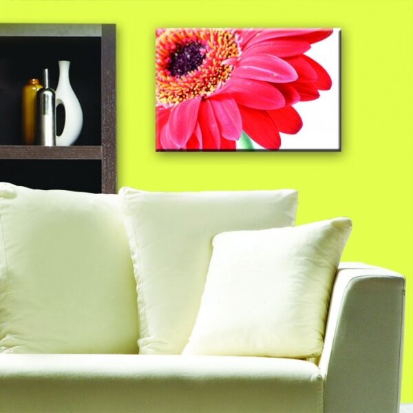 DIMEX | Obraz na skle | Gerbera GL-45-008 | 45 x 30 cm