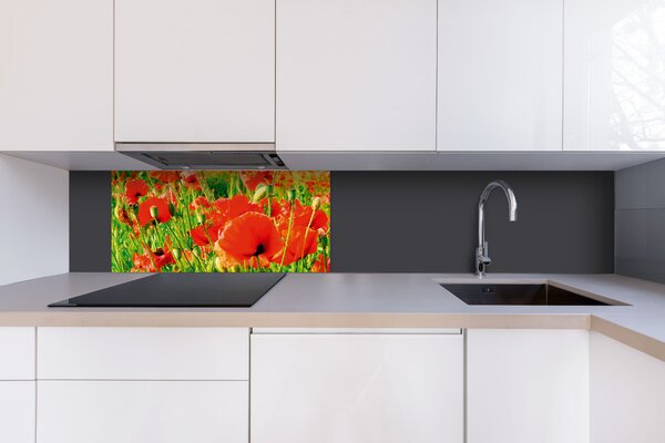 DIMEX | Dibond doska za kuchynskú linku | DBW-08040-028 Červené vlčie maky| 80 x 40 cm