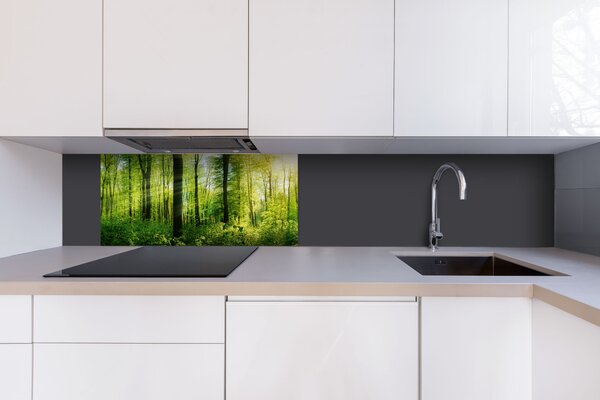DIMEX | Dibond doska za kuchynskú linku | DBW-08040-133 Svieži les| 80 x 40 cm