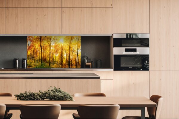 DIMEX | Dibond doska za kuchynskú linku | DBW-10060-084 Slnečný les | 100 x 60 cm