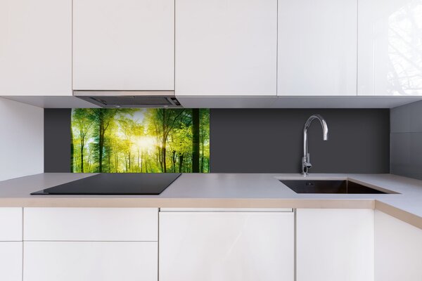 DIMEX | Dibond doska za kuchynskú linku | DBW-08040-189 Svieži zelený les| 80 x 40 cm