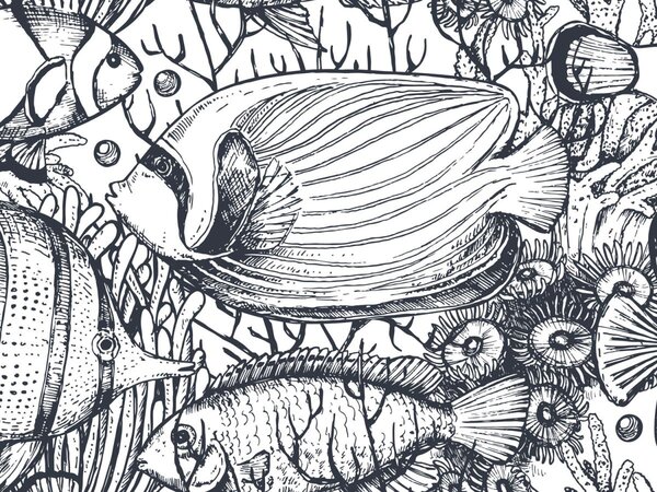 DIMEX | Dibond doska za kuchynskú linku | DBW-08060-183 Čiernobiele ryby | 80 x 60 cm