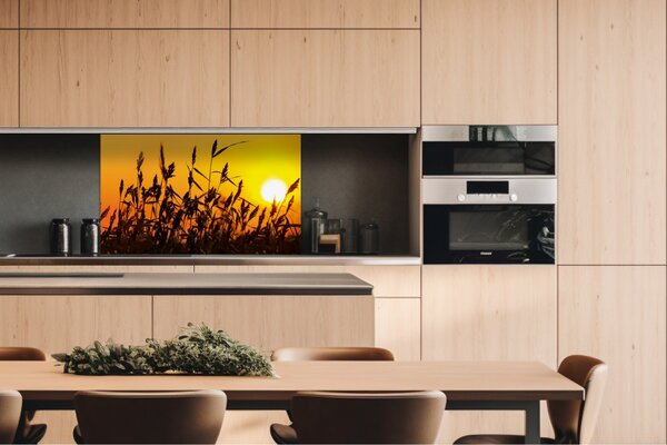 DIMEX | Dibond doska za kuchynskú linku | DBW-10060-128 Západ slnka | 100 x 60 cm
