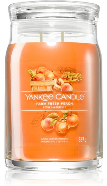 Yankee Candle Farm Fresh Peach vonná sviečka Signature 567 g