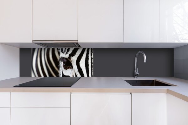 DIMEX | Dibond doska za kuchynskú linku | DBW-08040-016 Zebra| 80 x 40 cm