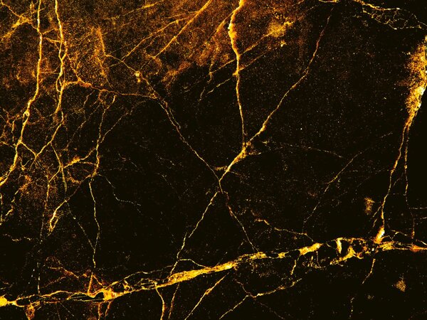 DIMEX | Dibond doska za kuchynskú linku | DBW-08060-279 Čiernozlatý mramor | 80 x 60 cm