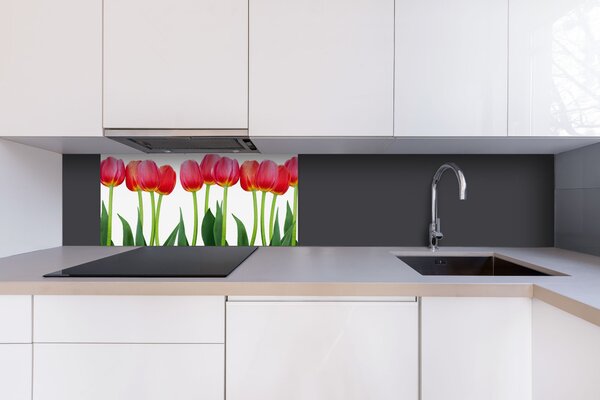 DIMEX | Dibond doska za kuchynskú linku | DBW-08040-058 Tulipány| 80 x 40 cm