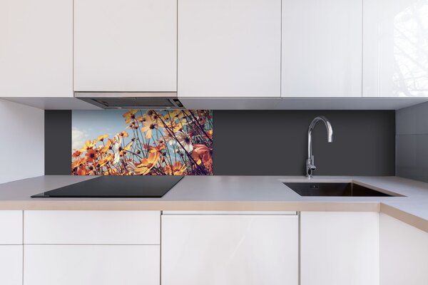 DIMEX | Dibond doska za kuchynskú linku | DBW-08040-123 Jarná lúka| 80 x 40 cm