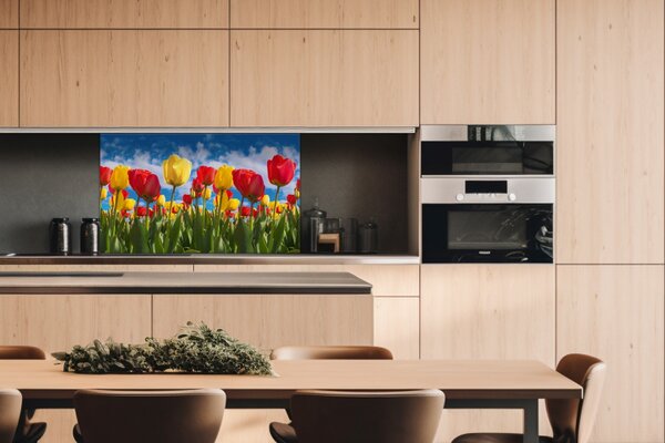 DIMEX | Dibond doska za kuchynskú linku | DBW-10060-131 Pole tulipánov | 100 x 60 cm