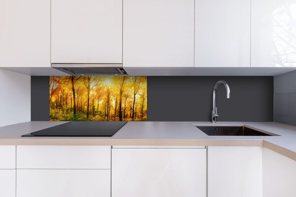 DIMEX | Dibond doska za kuchynskú linku | DBW-08040-084 Slnečný les| 80 x 40 cm