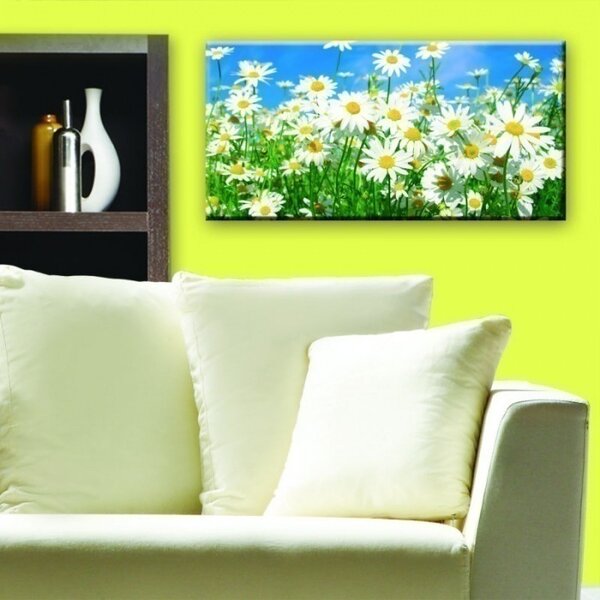 DIMEX | Obraz na skle | Sedmokrásky GL-60-003 | 60 x 30 cm