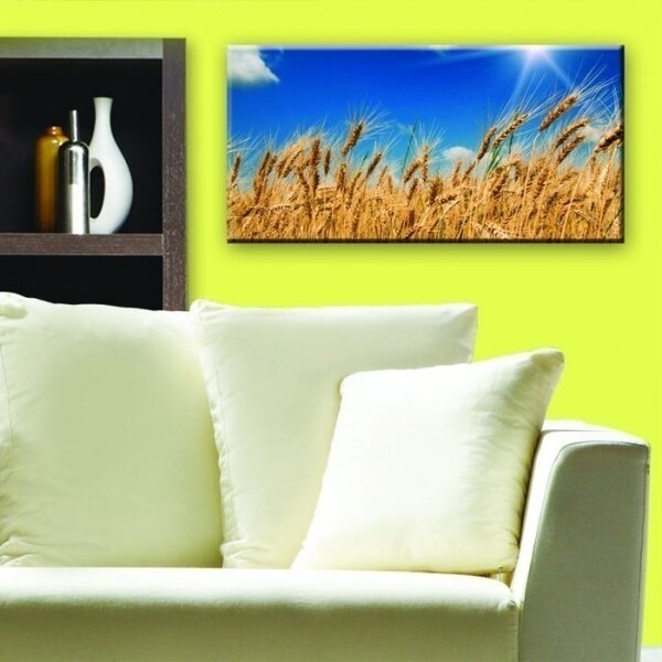 DIMEX | Obraz na skle | Pole pšenice GL-60-004 | 60 x 30 cm