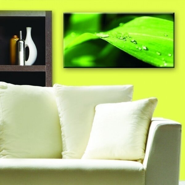 DIMEX | Obraz na skle | List GL-60-005 | 60 x 30 cm