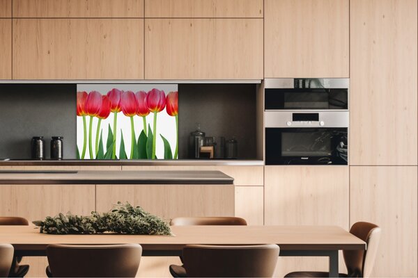 DIMEX | Dibond doska za kuchynskú linku | DBW-08060-058 Tulipány | 80 x 60 cm