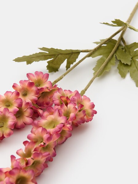 Sinsay - Dekoratívna rastlina – hortenzia - lilavá