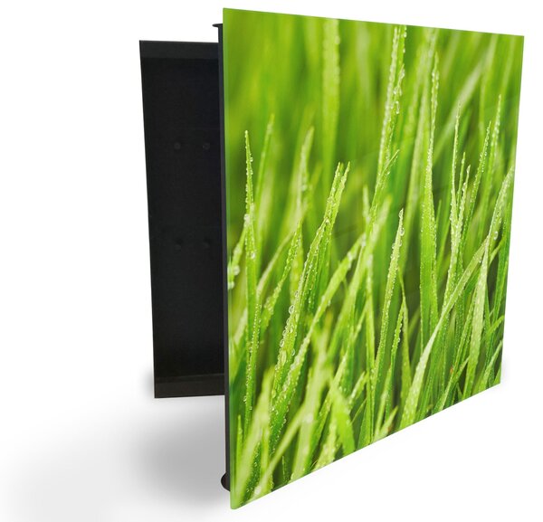 Glasdekor skrinka na kľúče - detail zelenej jarnej trávy - Ľavé / Biela
