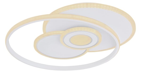 Globo 48442-50SH - LED stmievateľné stropné svietidlo RODERICK 50W/230V 46x54,5 cm+DO