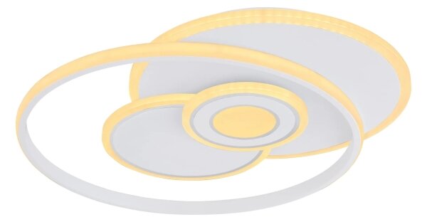 Globo 48442-50SH - LED stmievateľné stropné svietidlo RODERICK 50W/230V 46x54,5 cm+DO