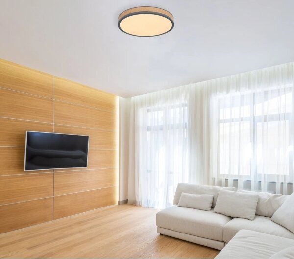 Globo 416080WD2R-CCT-LED stmievateľné stropné svietidlo DORO 24W/230V 3000-6500K pr. 45 cm